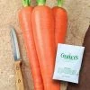 Gurney's Carrot Envy (750 Seed Packet)