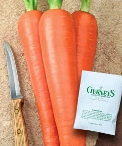 Gurney's Carrot Envy (750 Seed Packet)