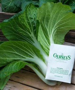 Gurney's Pak Choi Bopak Hybrid Seed (100-Pack)