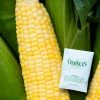 Gurney's Sweet Corn Inferno Hybrid (250 Seed Packet)