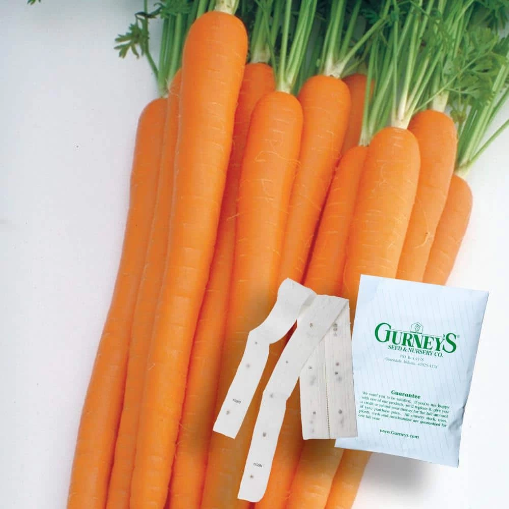 Gurney's Carrot Sugarsnax Hybrid 15 ft. Seed Tape
