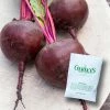 Gurney's Beet Red Titan Hybrid Seed (200-Pack)