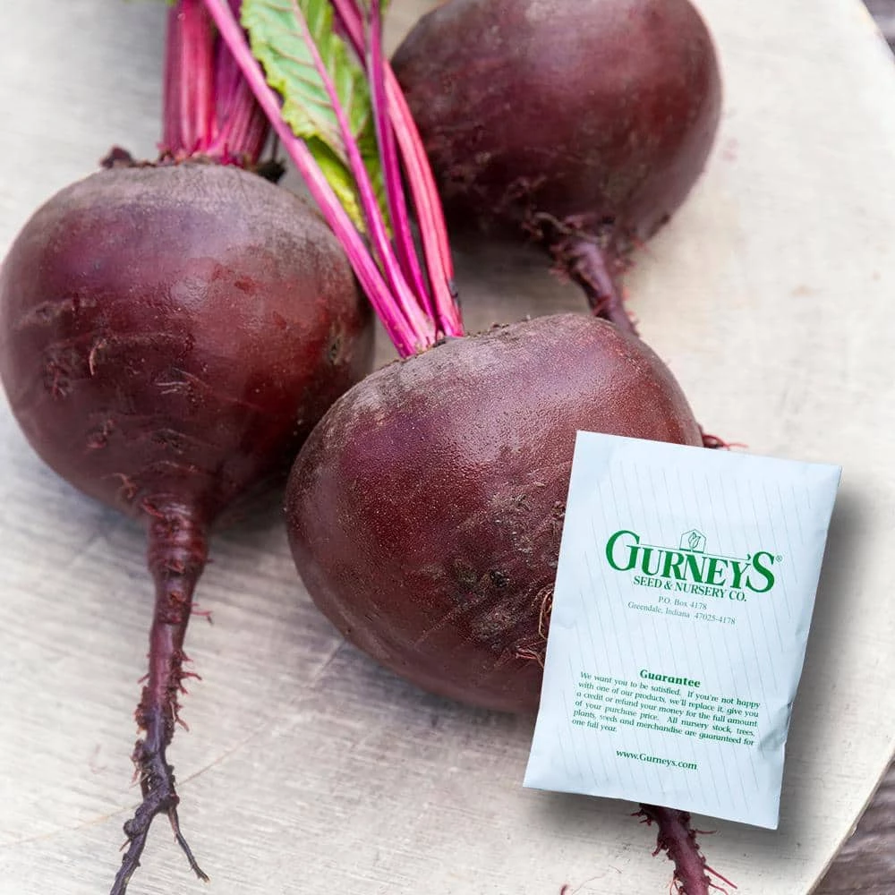 Gurney's Beet Red Titan Hybrid Seed (200-Pack)