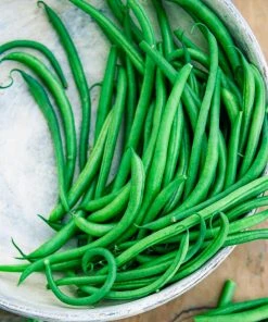 Gurney's Bush Bean Grenada (2 oz. Seed Packet)