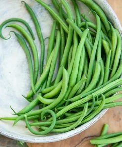 Gurney's Bush Bean Grenada (0.50 lb. Seed Packet)