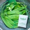 Gurney's Snow Pea Avalanche (225 Seed Packet)