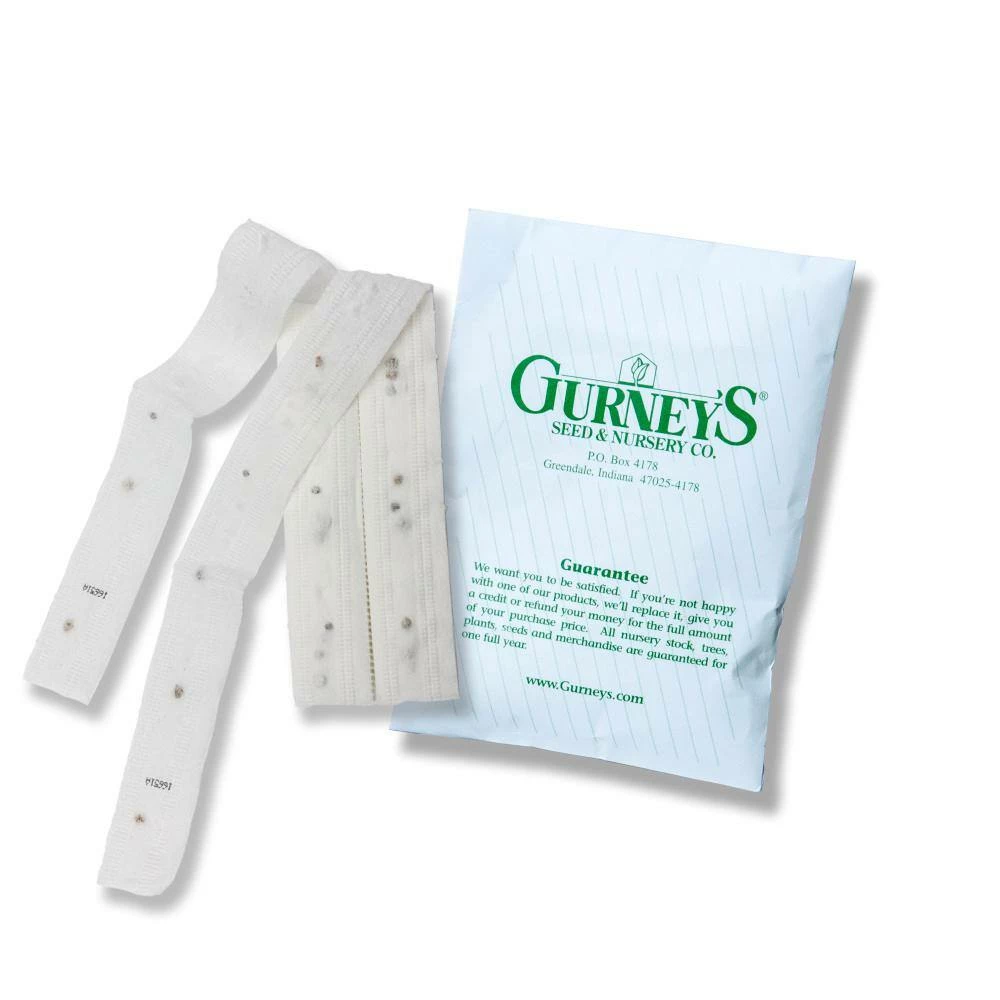 Gurney's Istanbul Carrot Hybrid Seed Tape, Includes 2 Seed Tapes Each 7.50 ft. L - Image 2