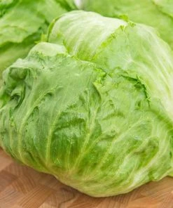 Gurney's Ithaca Head Lettuce Seed Tape, Includes 2 Seed Tapes Each 7.50 ft. L