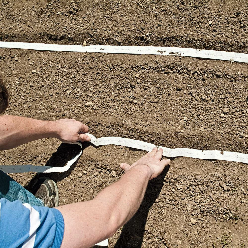 Gurney's Acadia Hybrid Spinach Seed Tape, Includes 2 Seed Tapes Each 7.50 ft. L - Image 4