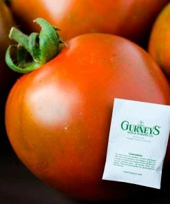 Gurney's Tomato Black Velvet Hybrid (25 Seed Packet)