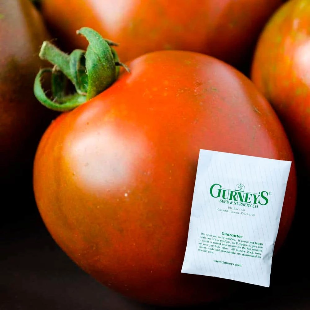 Gurney's Tomato Black Velvet Hybrid (25 Seed Packet)