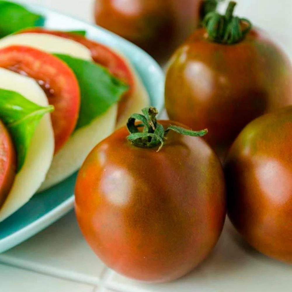 Gurney's Tomato Black Velvet Hybrid (25 Seed Packet) - Image 2