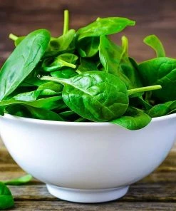 Gurney's Spinach Olympia Hybrid (100 Seed Packet)