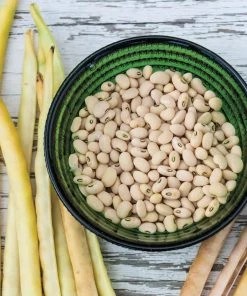 Gurney's Cream Pea Elite (0.25 lb. Seed Packet)