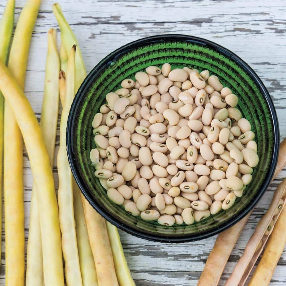 Gurney's Cream Pea Elite (0.25 lb. Seed Packet)