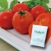Gurney's Tomato Easy Sauce Hybrid (15 Seed Packet)