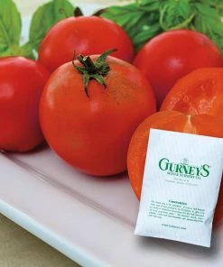 Gurney's Tomato Easy Sauce Hybrid (15 Seed Packet)