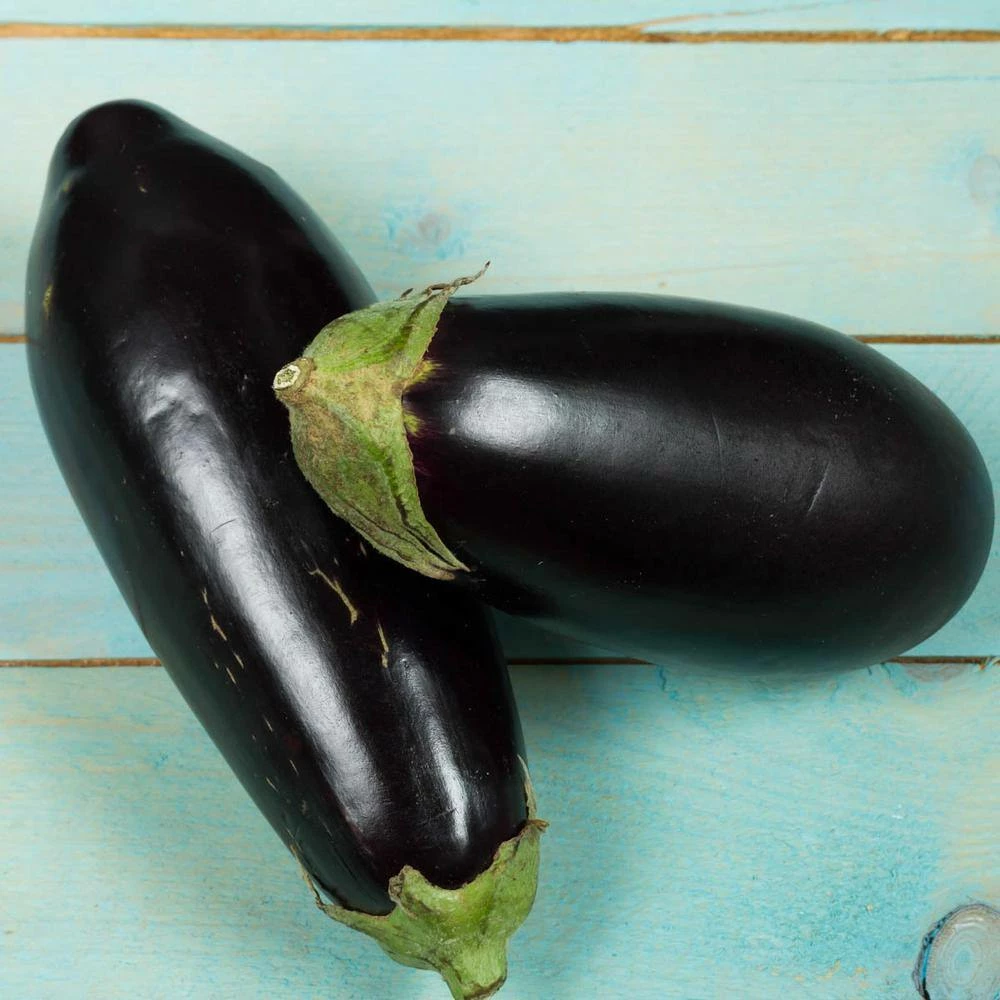 Gurney's Eggplant Black Beauty Vegetable Seeds (30 Seed Packet) - Image 3